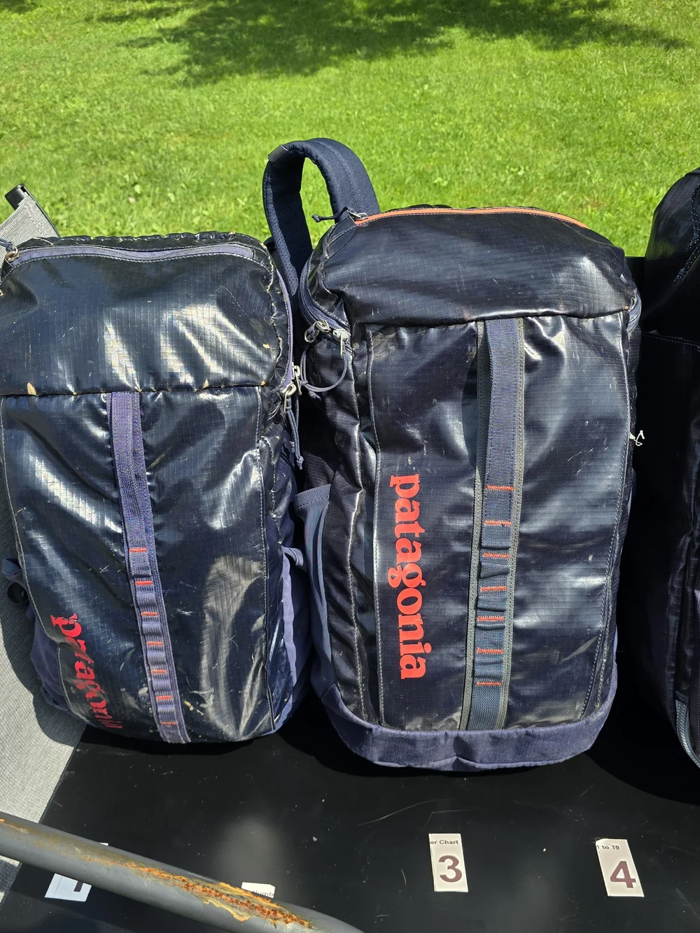 Patagonia Glossy Tpu Bags